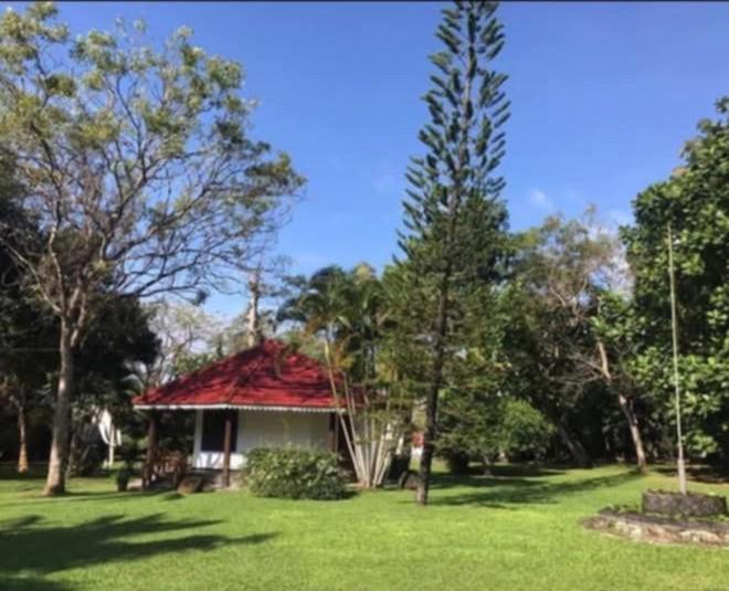 Subodinee Bungalow Weligama Eksteriør bilde