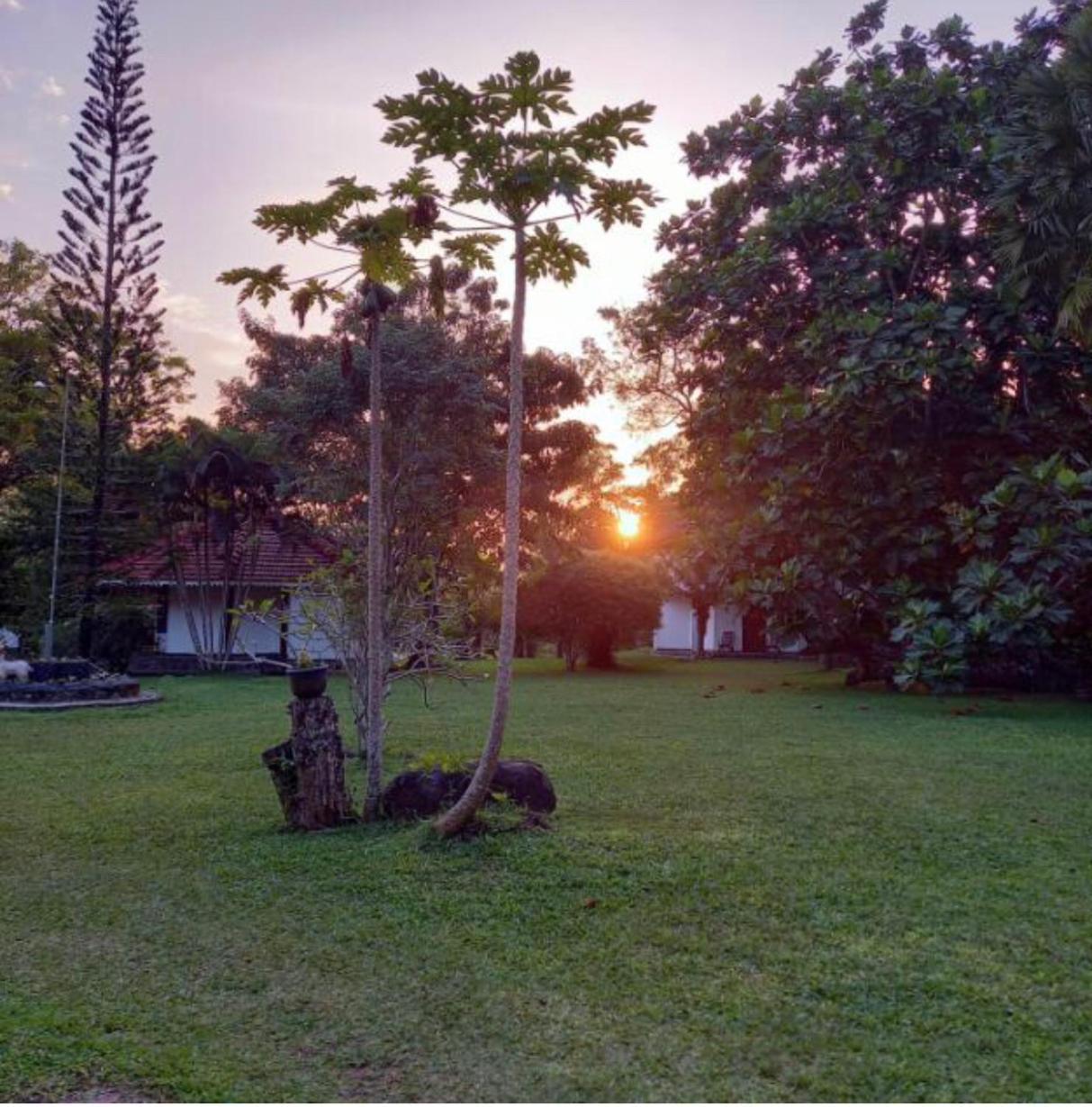 Subodinee Bungalow Weligama Eksteriør bilde